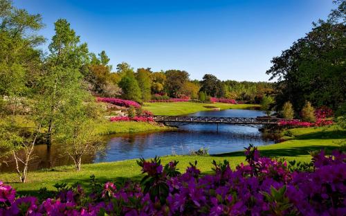 Lakeside Parks & Play 2026
