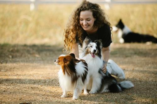 Kind City Animals