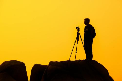 Photography Club, Field Guide & Contest Rules